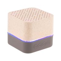 SPEAKER IN PAGLIA DI GRANO